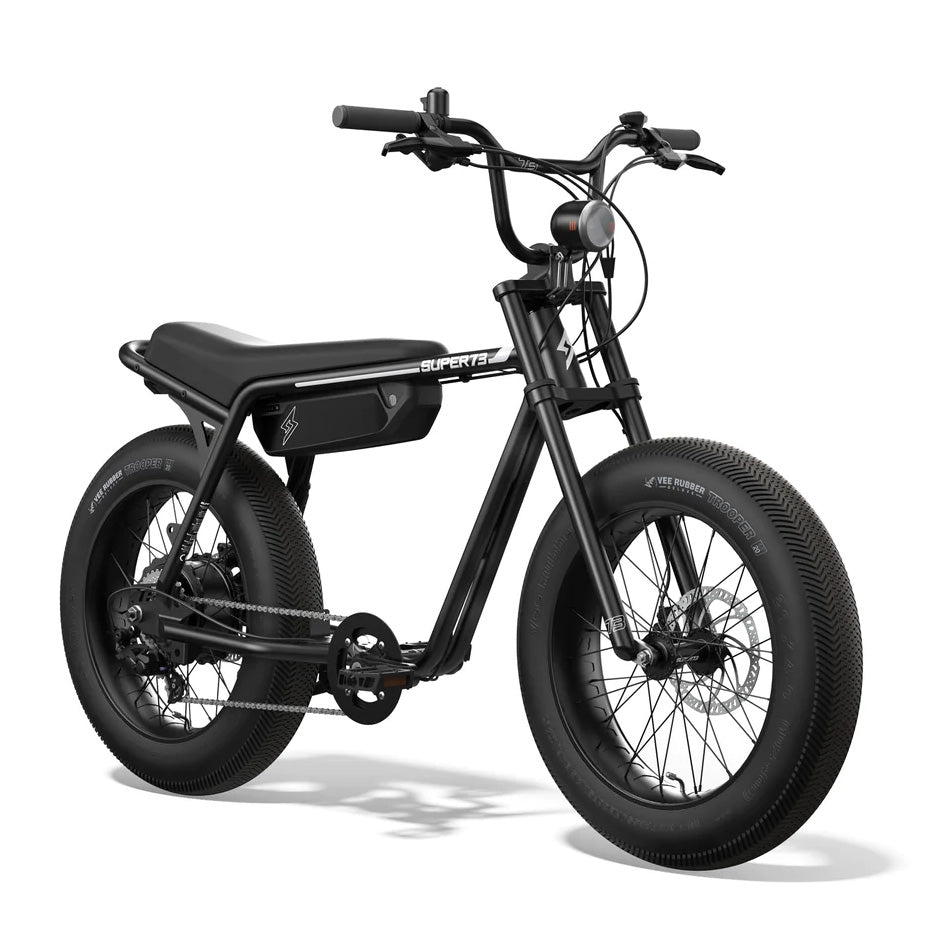 Fat tyre ebike online