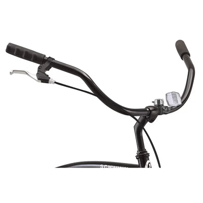 Schwinn S1 Cruiser