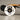 Fusion Street Electric Skateboard