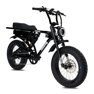 Fatboy ebike in Black