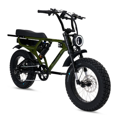 Fatboy ebike in Green