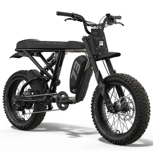 R adventure fat tyre ebike in sandstorm colour