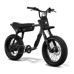 ZE Adventure Series Fat tyre ebike in the two tone Sandstorm colour